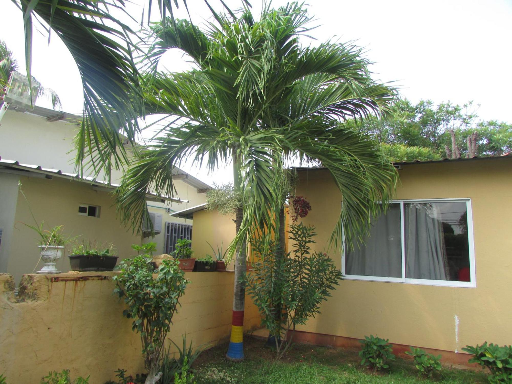 Posada Hostal Miss Marlly San Andres  Luaran gambar